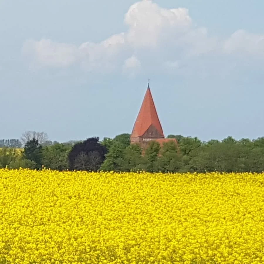 Insel Poel — Eindruck 2 von 9