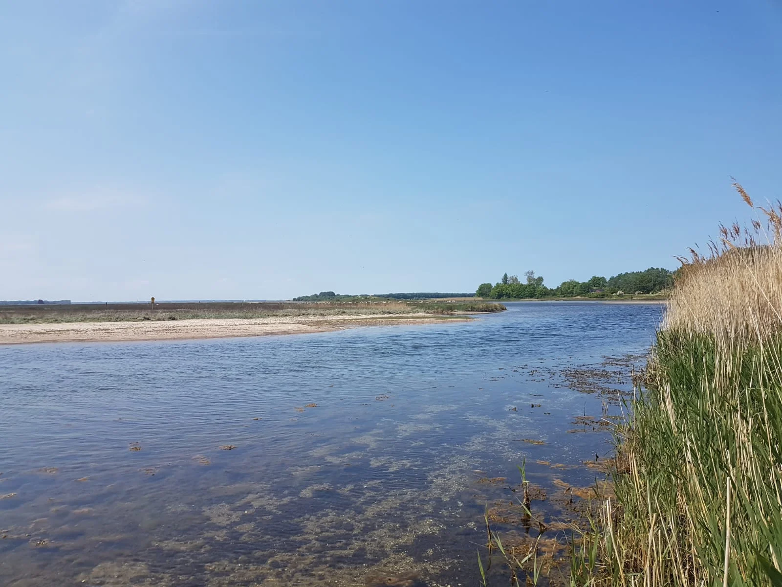 Eindruck aus dem Naturschutzgebiet Langenwerder vor der Insel Poel